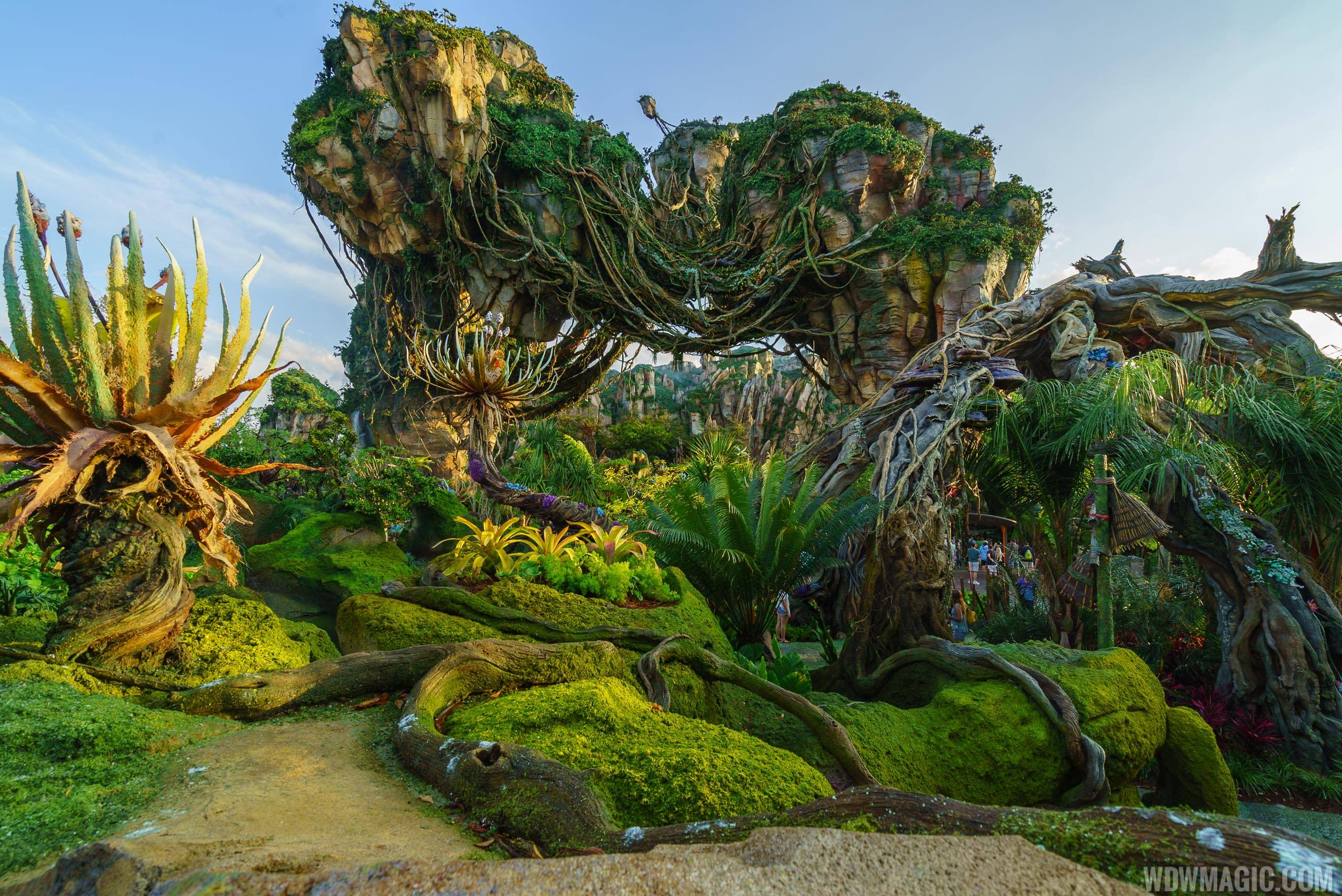 HD wallpaper green mountain with rainbow Avatar landscape fantasy art movies Wallpaper Flare #21 HD wallpaper green mountain with rainbow Avatar landscape fantasy art movies Wallpaper Flare